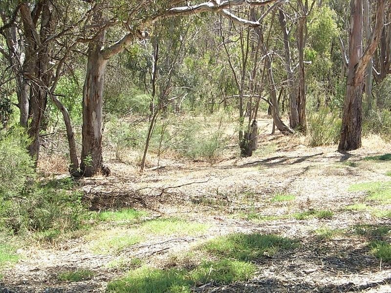 74 Meninya Street, Moama NSW 2731