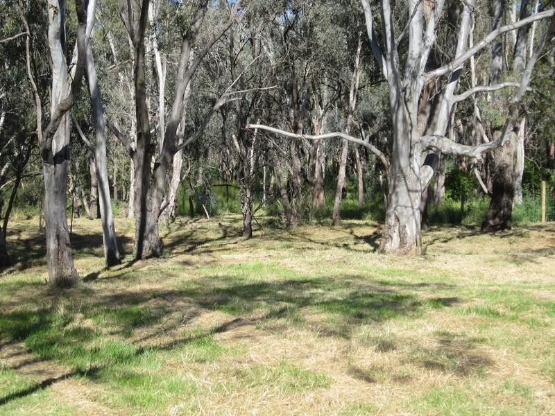 74 Meninya Street, Moama NSW 2731