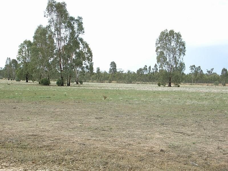 Lot 67 Old Barmah Road, Moama NSW 2731