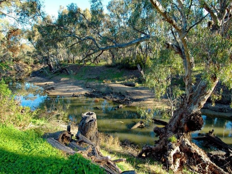 2 -24 Collier Street, Echuca VIC 3564