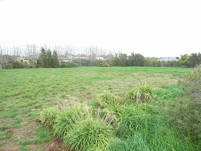 11 Rivergums Drive, Moama NSW 2731