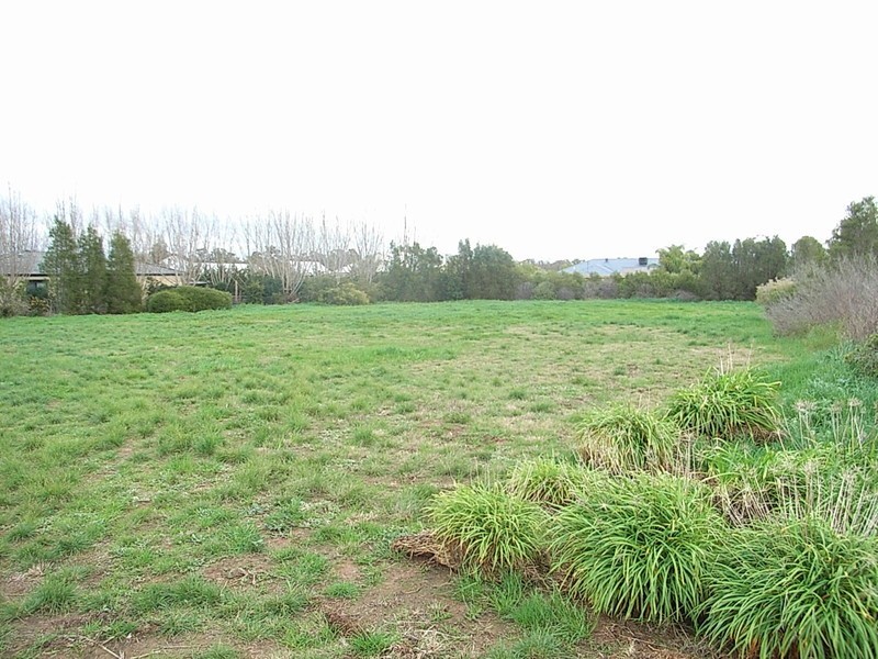 11 Rivergums Drive, Moama NSW 2731