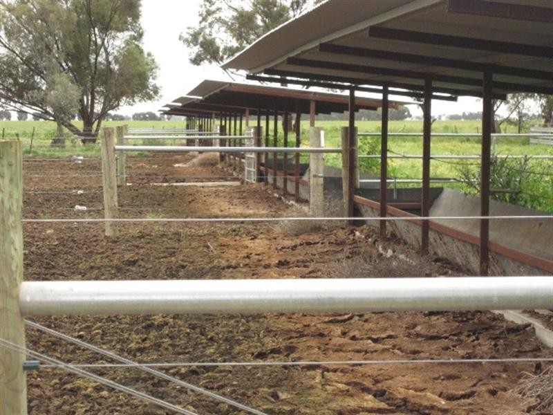 00 Whinfield Road, Pine Grove VIC 3573