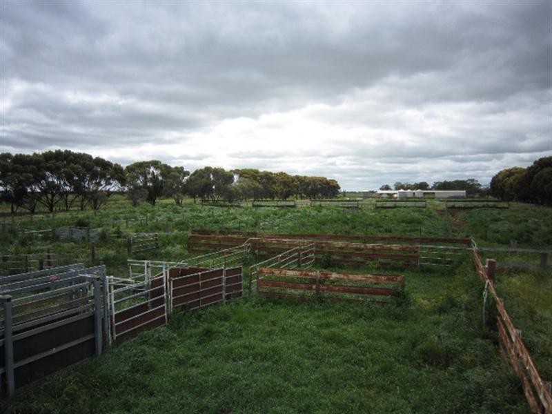 00 Whinfield Road, Pine Grove VIC 3573