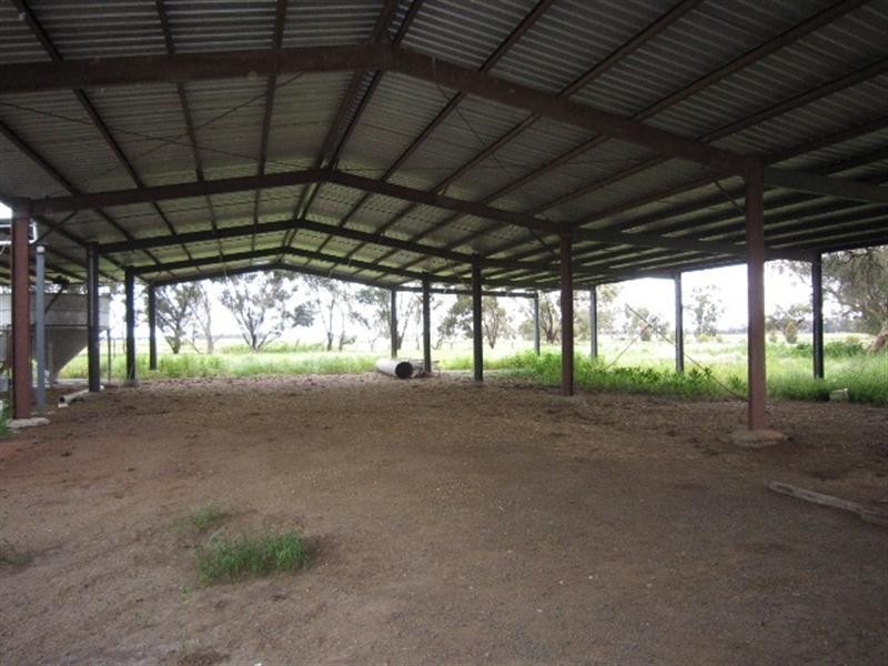 00 Whinfield Road, Pine Grove VIC 3573
