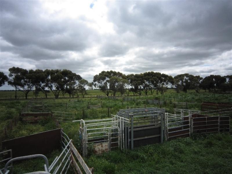 00 Whinfield Road, Pine Grove VIC 3573