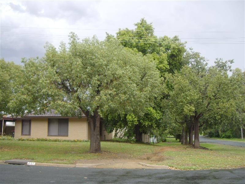 251 McKinlay Street, Echuca VIC 3564