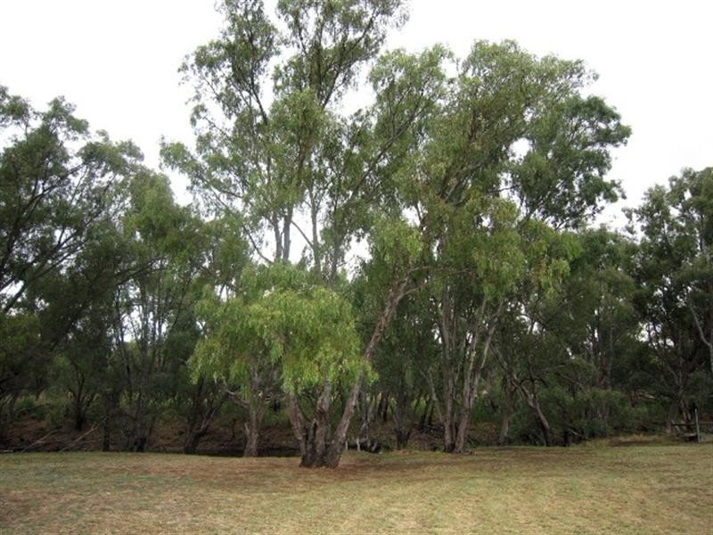 23 Chelsworth Drive, Echuca VIC 3564