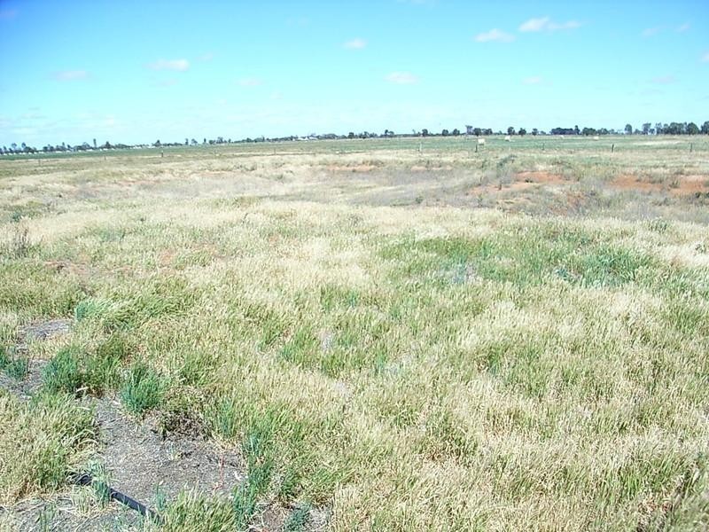 2005 Strathallan Road, Lockington VIC 3563