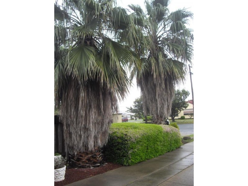 17 Eyre Street, Echuca VIC 3564