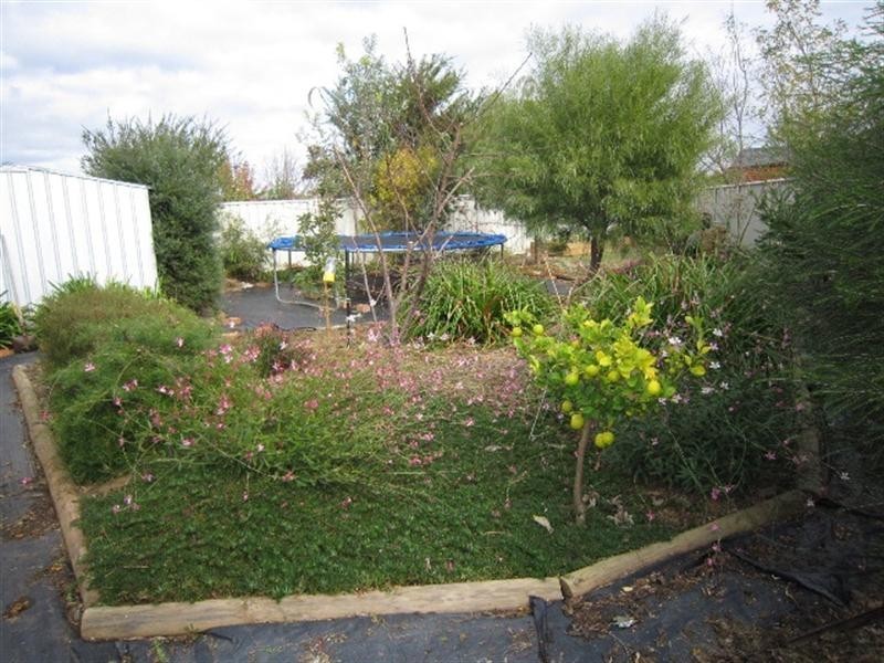 29 Shetland Drive, Moama NSW 2731