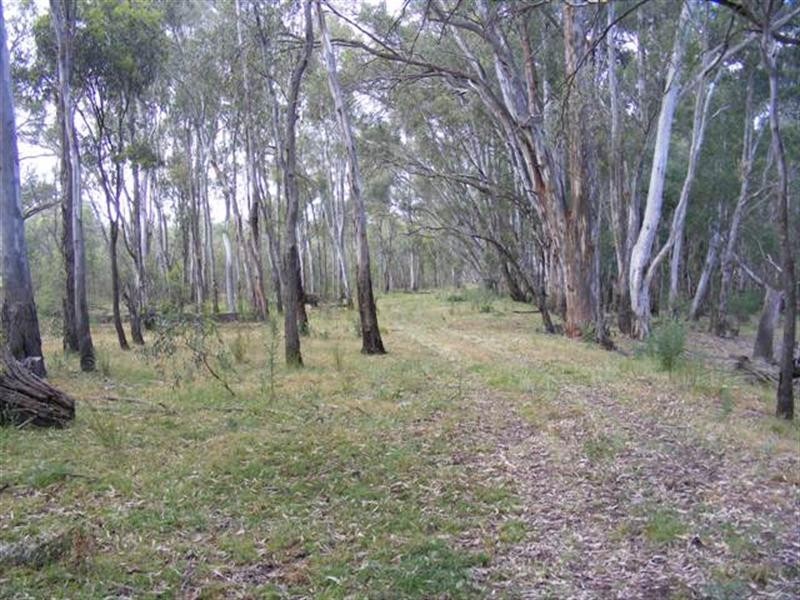 2070 Perricoota Road, Moama NSW 2731