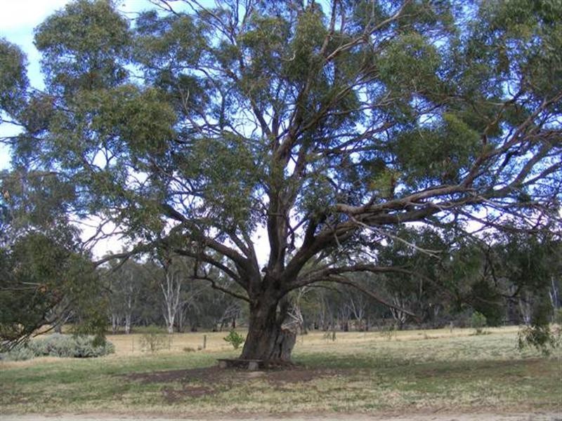 2070 Perricoota Road, Moama NSW 2731