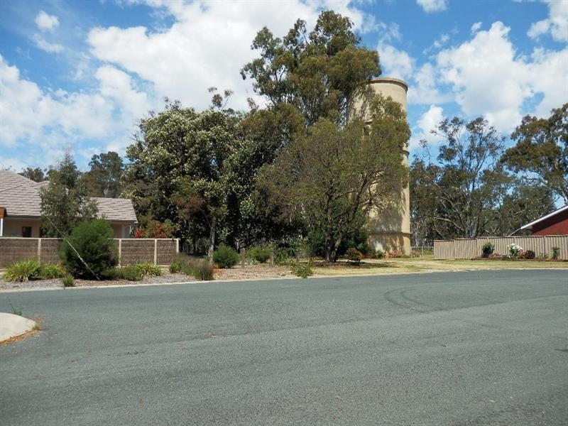 9 Berry Street, Moama NSW 2731
