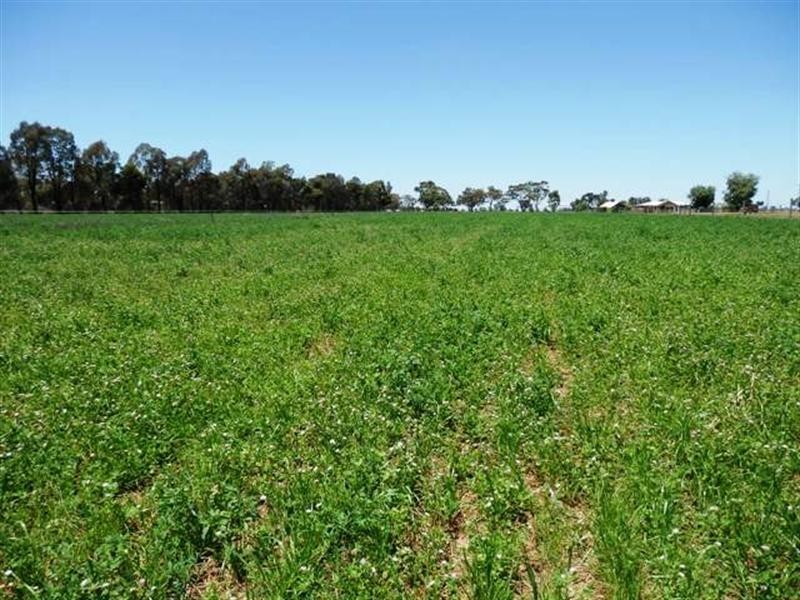 121 Latham Road, Echuca VIC 3564