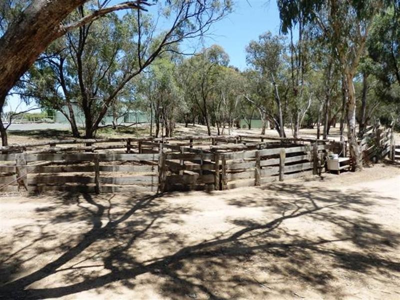 121 Latham Road, Echuca VIC 3564