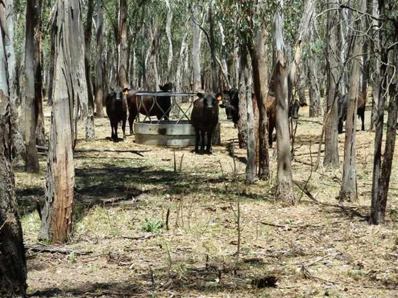 121 Latham Road, Echuca VIC 3564