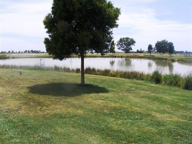 10 Cabernet Drive, Moama NSW 2731