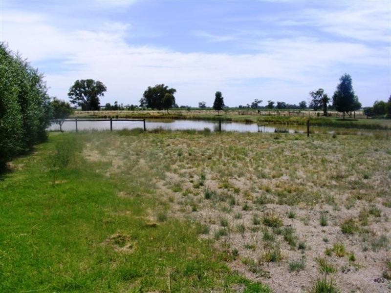 10 Cabernet Drive, Moama NSW 2731