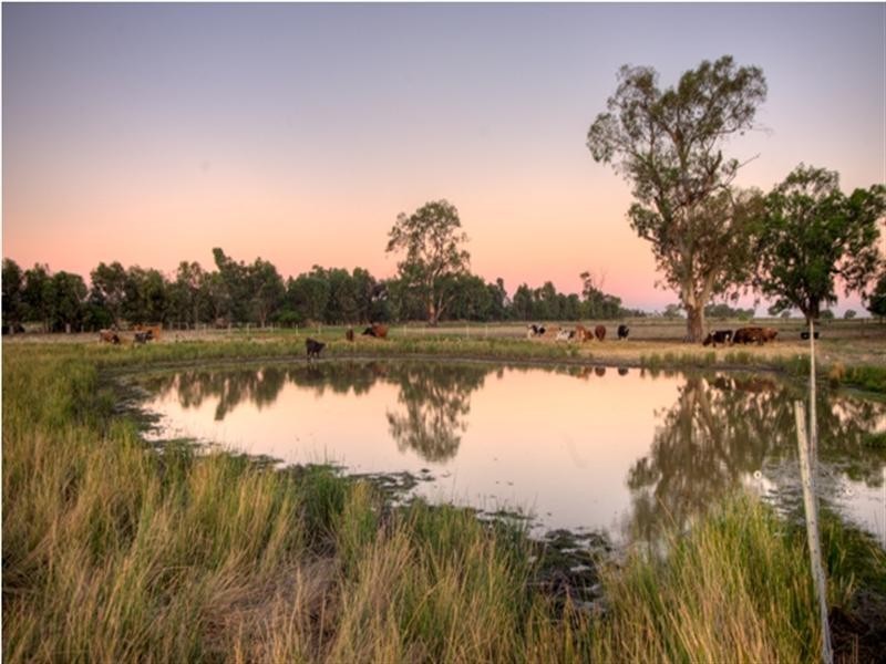 2049 Restdown Road, Echuca VIC 3564