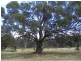 2070 Perricoota Road, Moama NSW 2731