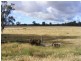 2070 Perricoota Road, Moama NSW 2731
