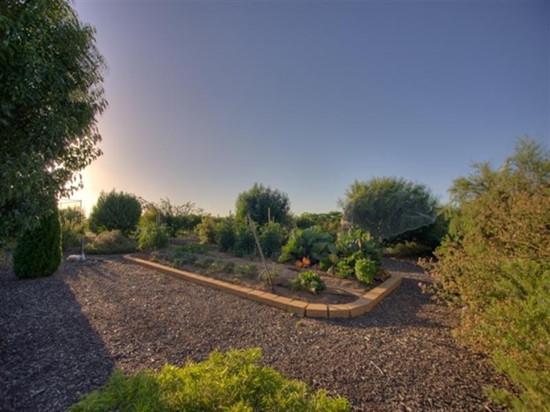 29 Cabernet Drive, Moama NSW 2731