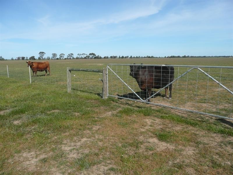 Lot 4 Echuca West School Road, Echuca VIC 3564