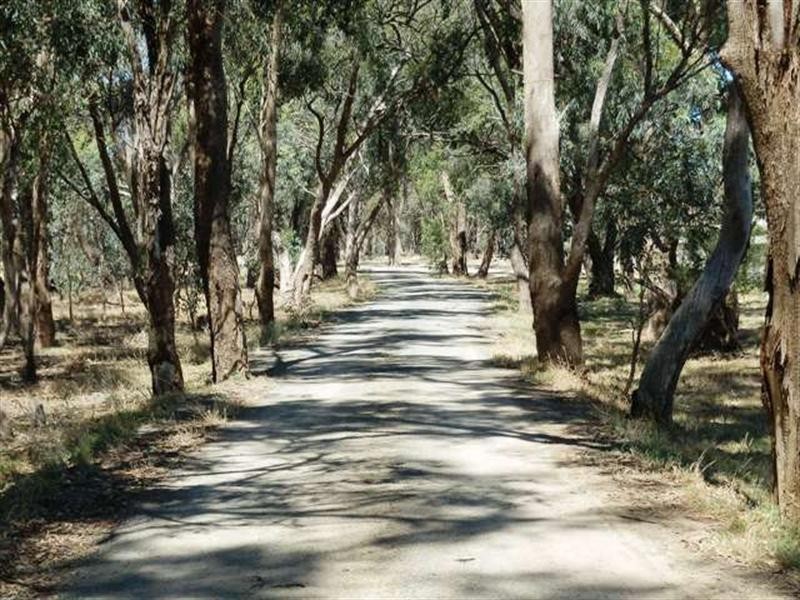 53 Aberdeen Way, Moama NSW 2731