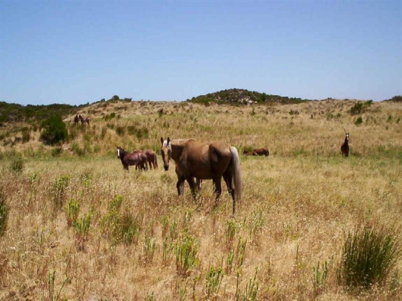 852 Stockyard Road, Esperance WA 6450