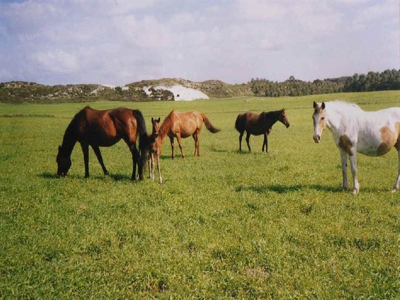 852 Stockyard Road, Esperance WA 6450