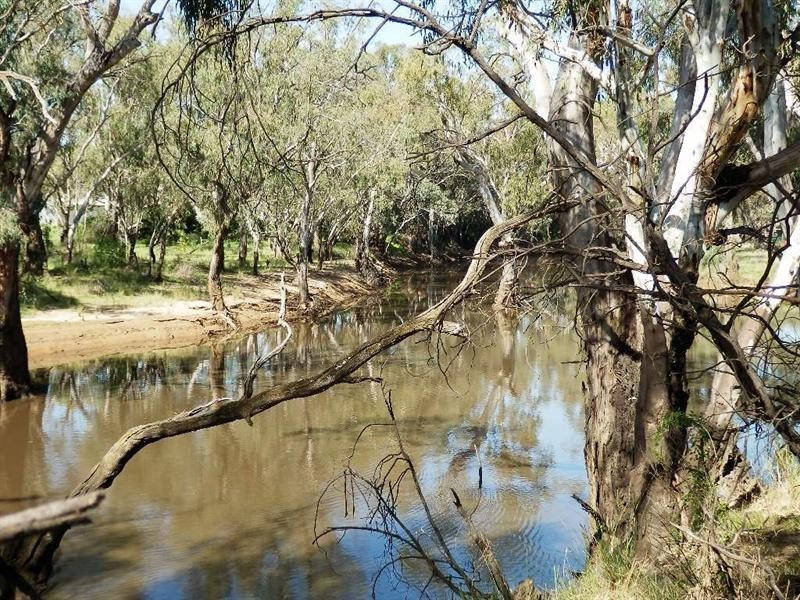 8 Grayson Terrace, Echuca VIC 3564