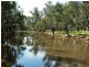 8 Grayson Terrace, Echuca VIC 3564