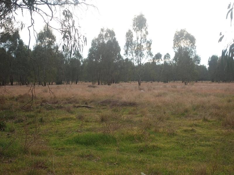 7 Mary Ann Road, Echuca VIC 3564