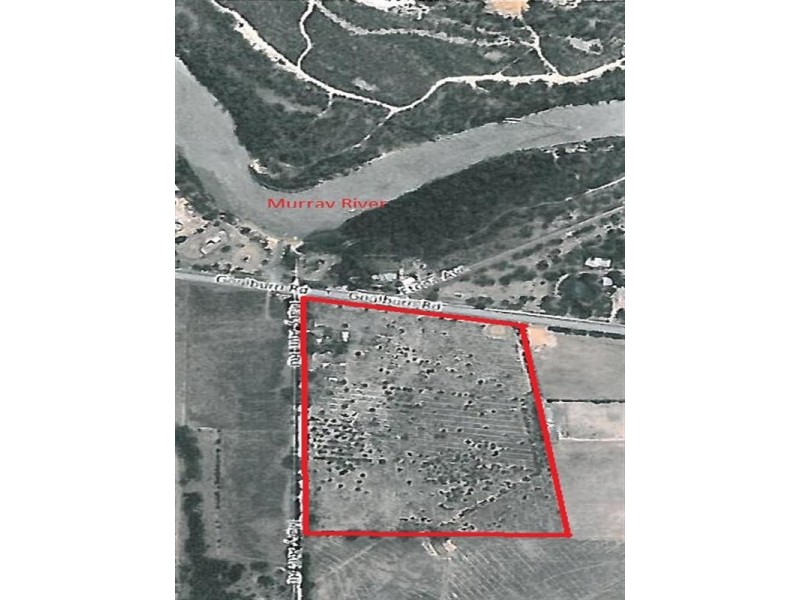 7 Mary Ann Road, Echuca VIC 3564