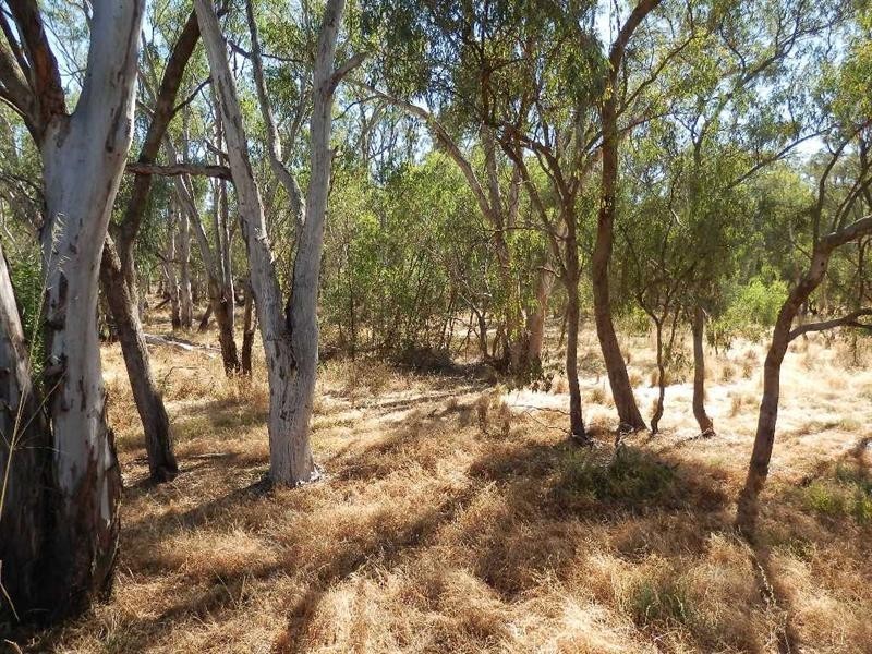 136 Hovell Street, Echuca VIC 3564