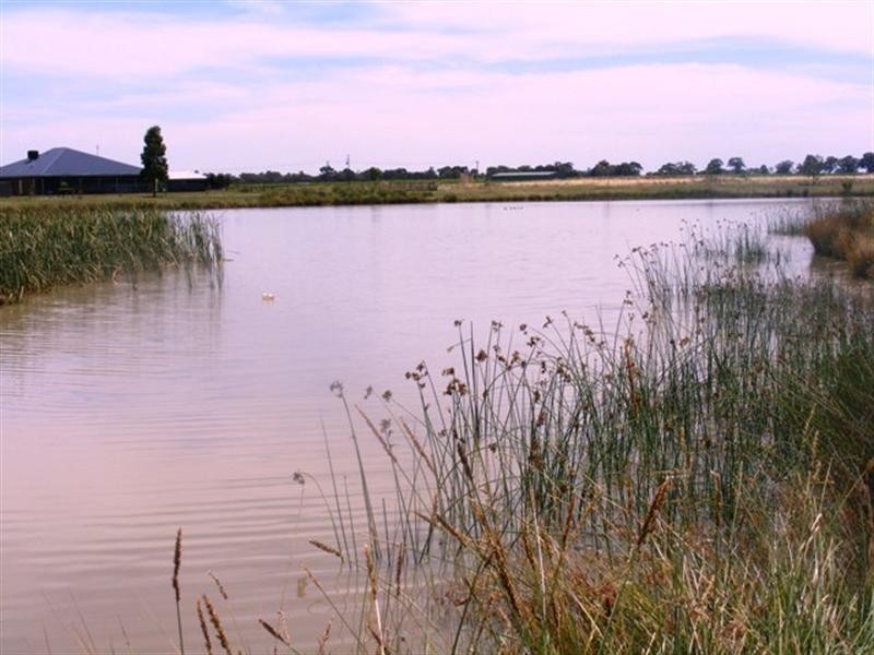 10 Cabernet Drive, Moama NSW 2731