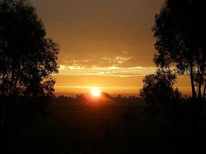 38 Swan Boulevard, Moama NSW 2731