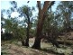Lot 3 Cnr Northern H/way and Singer Road, Echuca VIC 3564