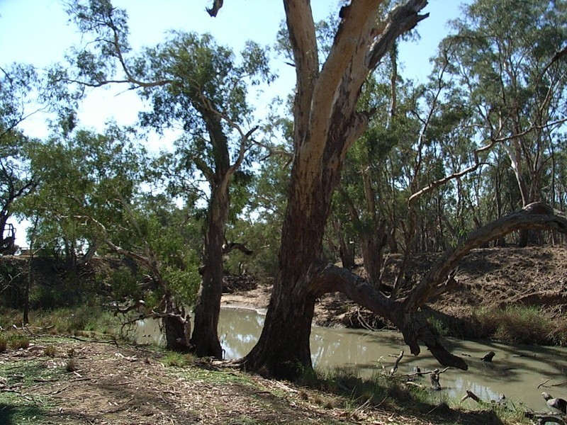 Lot 3 Cnr Northern H/way and Singer Road, Echuca VIC 3564