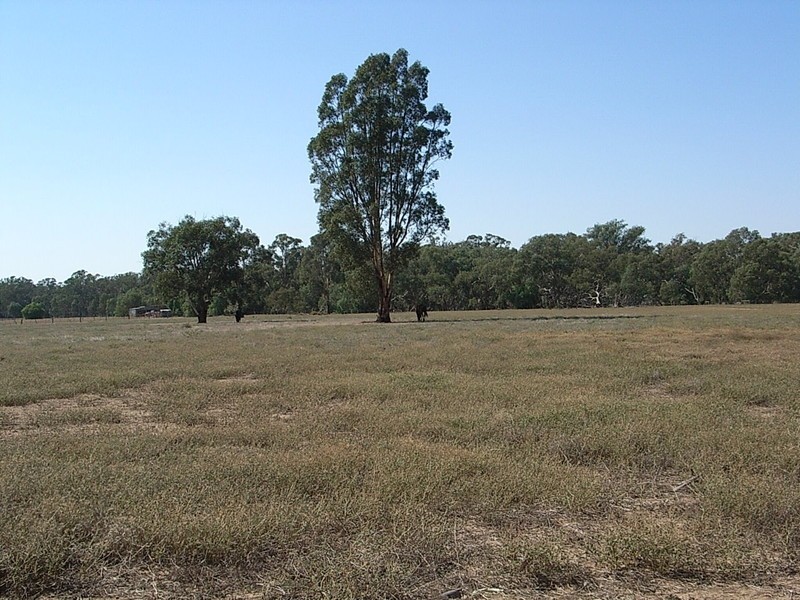 Lot 3 Cnr Northern H/way and Singer Road, Echuca VIC 3564