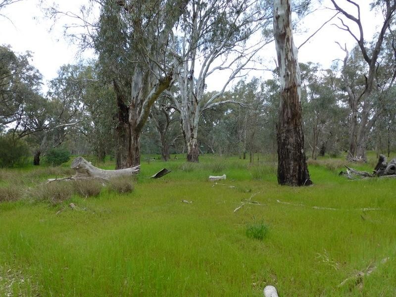 86 Pianta Road, Echuca VIC 3564