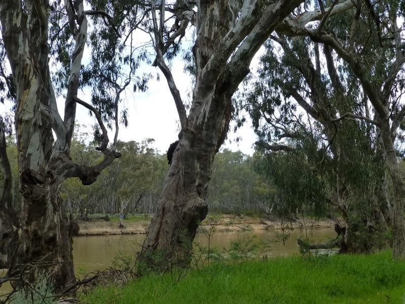 86 Pianta Road, Echuca VIC 3564