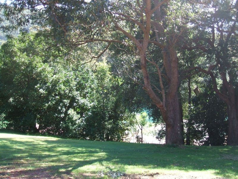 20 Station Street, Stanwell Park NSW 2508