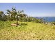 220 Lawrence Hargrave Drive, Coalcliff NSW 2508