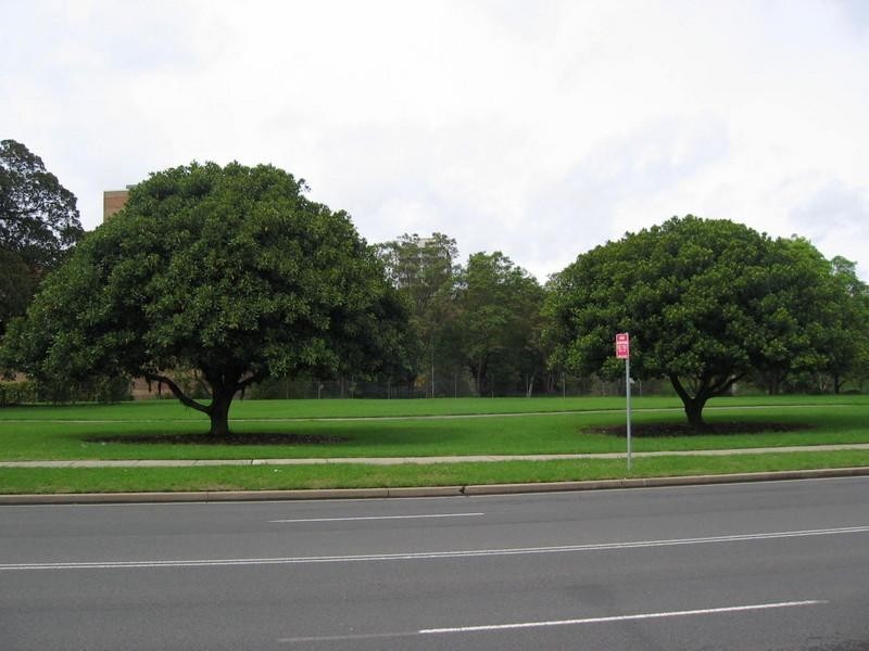 48 Hassall Street, Parramatta NSW 2150