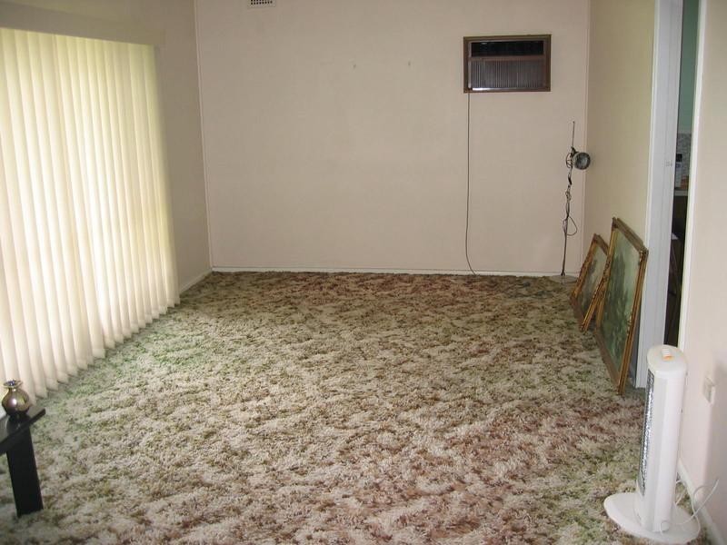 4 Dell Street, Woodpark NSW 2164