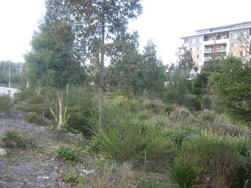 13 Dressler Court, Holroyd NSW 2142