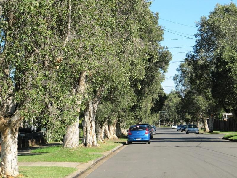 56 Elm Road, Auburn NSW 2144