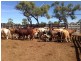 Mount Carbine QLD 4871